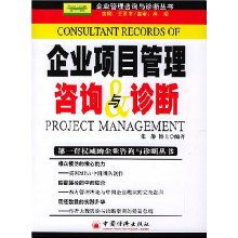 企业项目管理咨询与诊断 企业管理咨询与诊断丛书